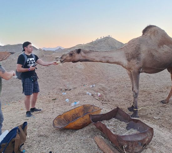Quady z Marsa Alam – Safari z wiełbłądami i wioską beduińską